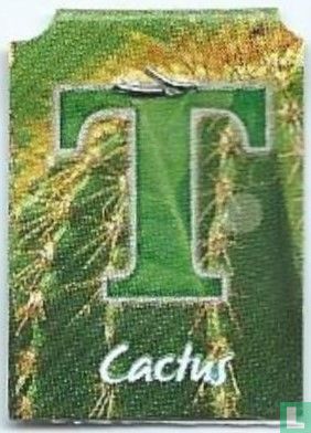 Cactus - Image 1