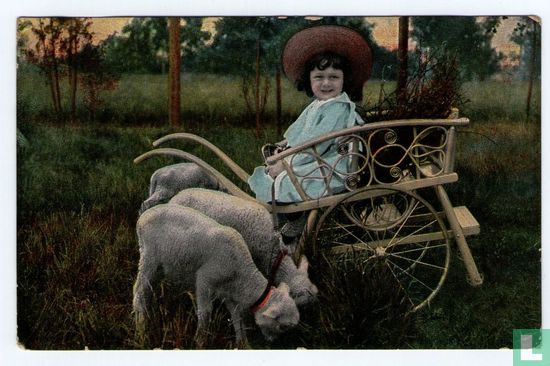 Meisje in kruiwagen met schaapjes - Image 1
