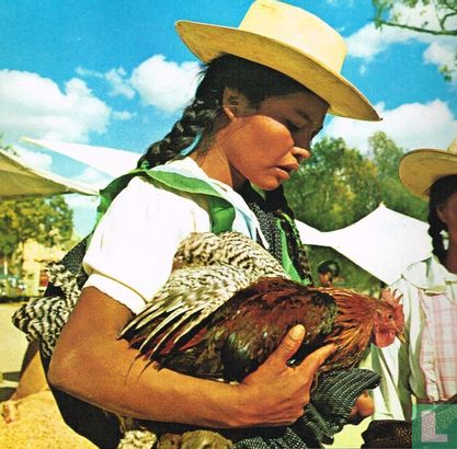Mexico - Image 1