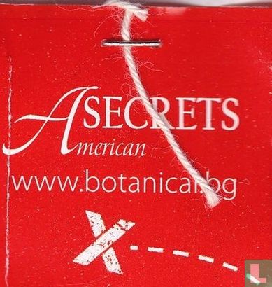 American Secrets - Afbeelding 3