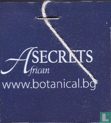 African Secrets  - Image 3