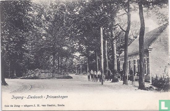 Café De Drie Linden