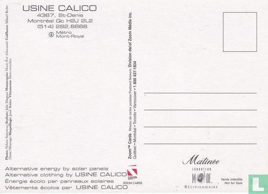 Usine Calico - Image 2