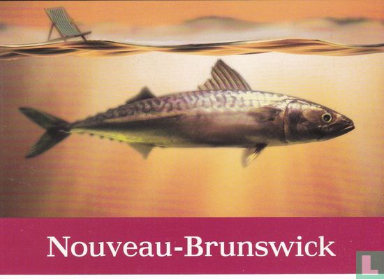 Nouveau-Brunswick - Afbeelding 1