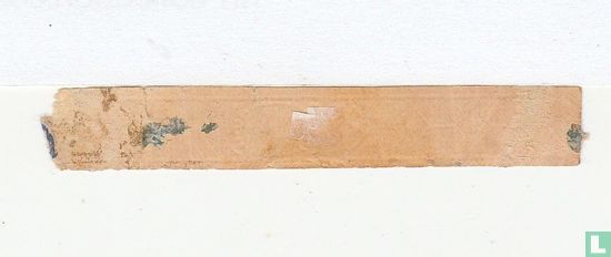 Flor - Bild 2