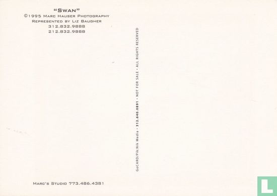 Marc Hauser 'Swan' - Afbeelding 2