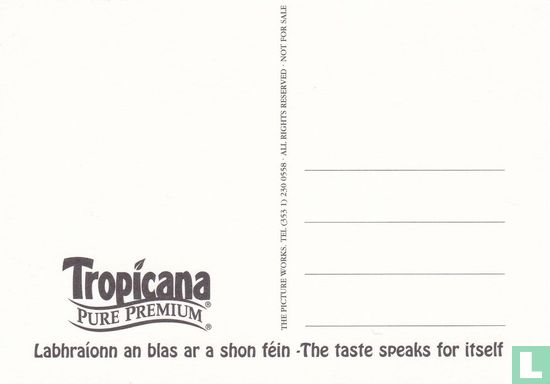 Tropicana - Afbeelding 2