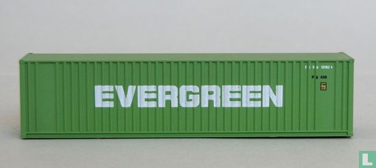 Container "EVERGREEN"