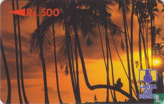 Palm Trees at Sunset - Bild 1