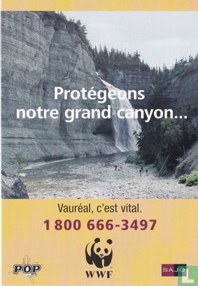 097 - WWF "Protégeons notre grand canyon..." - Afbeelding 1