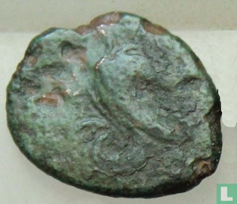 Akragas, Sicilië  AE17, Uncia (1/12 As)  400-200 BCE - Afbeelding 1