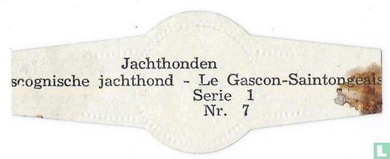 Gascognic Jagdhund - Bild 2