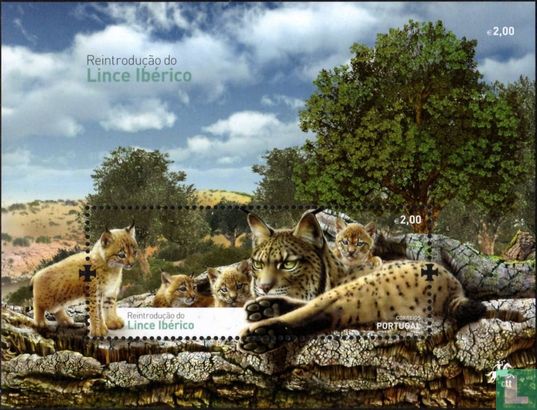 Re-introduction of the Iberian lynx
