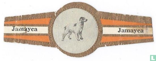 Bretonischer Patenthund - Bild 1