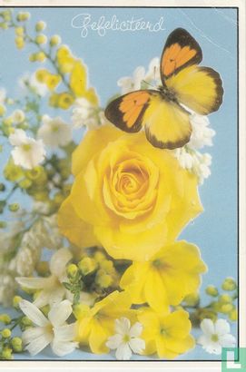 Gefeliciteerd - gele roos, vlinder en primula - Afbeelding 1