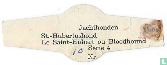 St. Hubert Hund - Bild 2