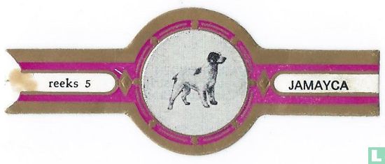Breton patent dog - Image 1