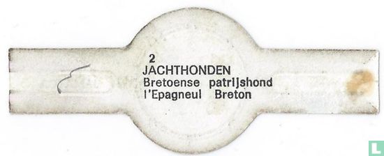 Breton patent dog - Image 2