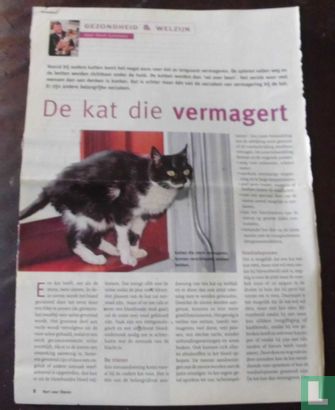 Gezondheid & Welzijn - De kat die vermagert - Image 1