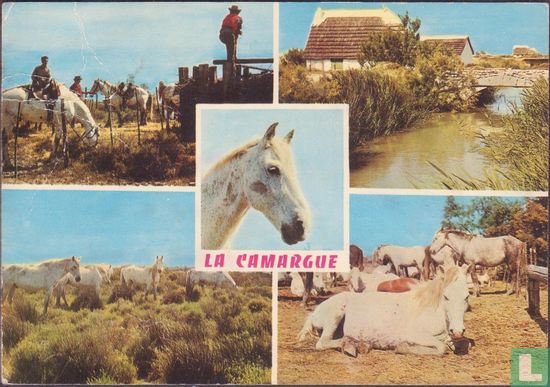 La Camargue