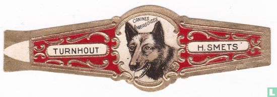 Canines Anversoises - Turnhout - H. Smets - Image 1
