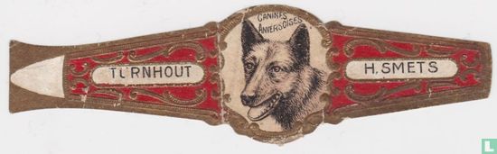 Canines Anversoises - Turnhout - H. Smets - Image 1