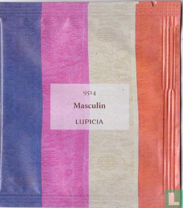 Masculin - Image 1