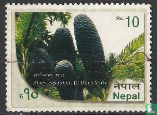 Plants of Nepal