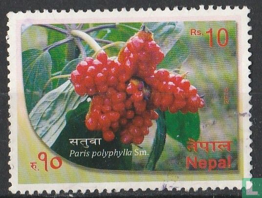 Planten van Nepal
