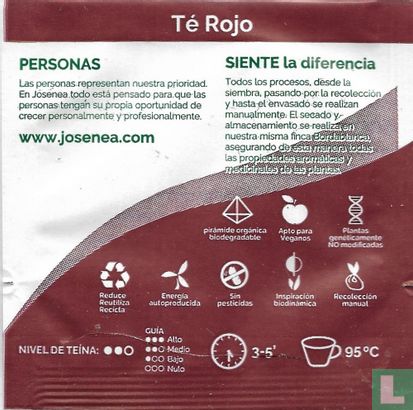Té Rojo - Image 2