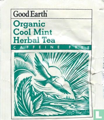 Cool Mint Herbal Tea - Image 1