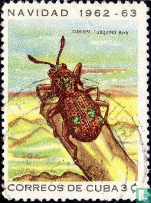 1962 Insects