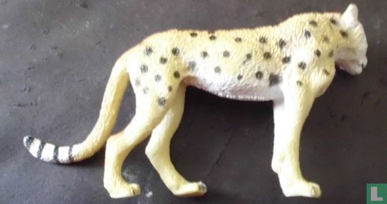 Cheetah - Image 2