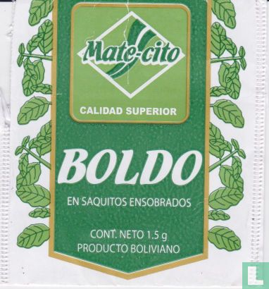 Boldo - Bild 1