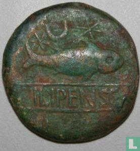 Ilipa, Hispania (Iberische Kelten)  AE32  ca. 170 BCE - Afbeelding 1