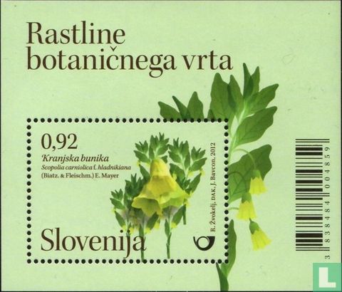 Plants from the botanical garden of Ljubljana