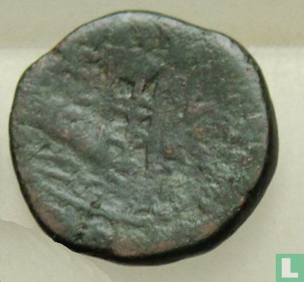 Kallatis, Thrace (ou Mésie)  AE19  ca. 175-75 avant notre ère - Image 1