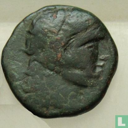 Kallatis, Thrace (ou Mésie)  AE19  ca. 175-75 avant notre ère - Image 2