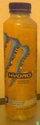 Monster Hydro - Dextrose Powered - Tropical Thunder - Image 1