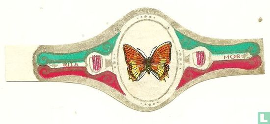 (Papillon) - Image 1
