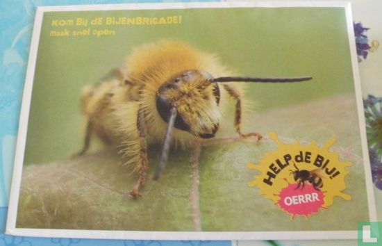 Kom bij de bijenbrigade! - Image 2