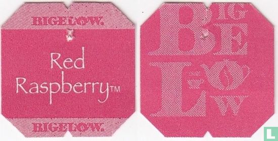 Red Raspberry [tm] - Image 3