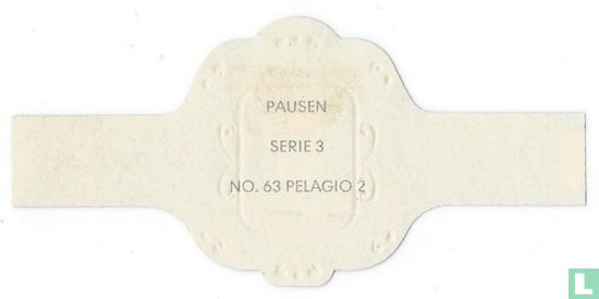 Pelagio 2 - Afbeelding 2
