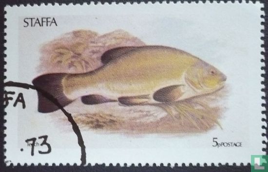 Staffa - Fish