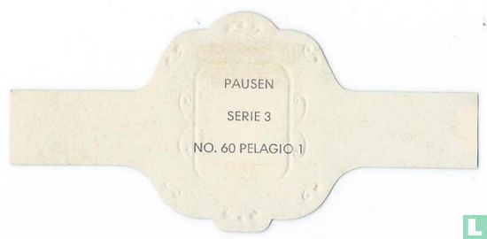 Pelagio 1 - Afbeelding 2