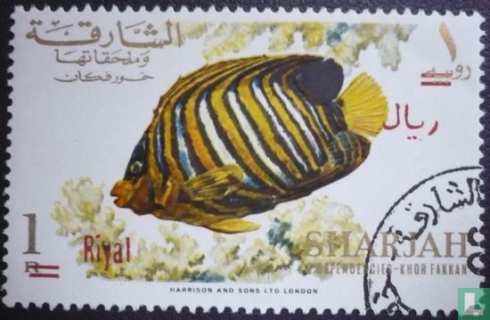 Fish with overprint