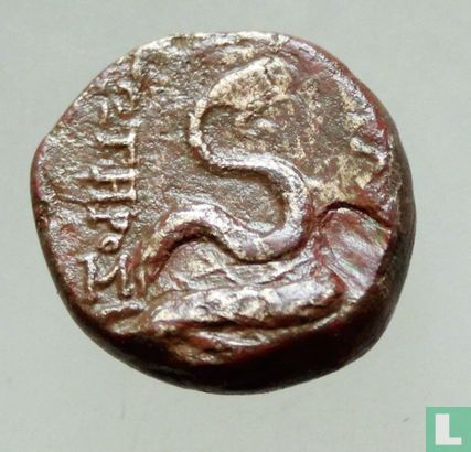 Pergamon, Mysia  AE19  200-0 BCE - Afbeelding 1