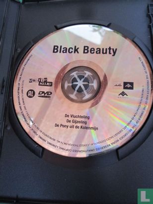 Black Beauty - Bild 3