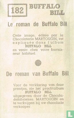 De roman van Buffalo Bill - Afbeelding 2