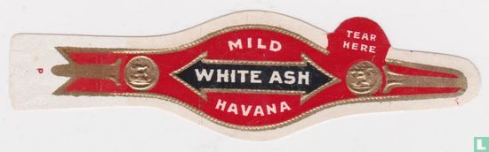 Havane blanche douce de cendres - larme ici - Image 1